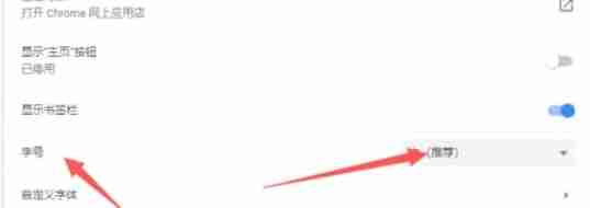 谷歌浏览器怎么设置字体大小-谷歌浏览器设置字体大小的方法