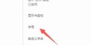 谷歌浏览器怎么设置字体大小-谷歌浏览器设置字体大小的方法