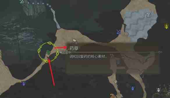 怪物猎人荒野营地在哪-怪物猎人荒野营地位置攻略