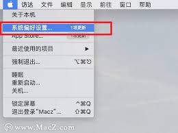 苹果设备名称怎么改掉
