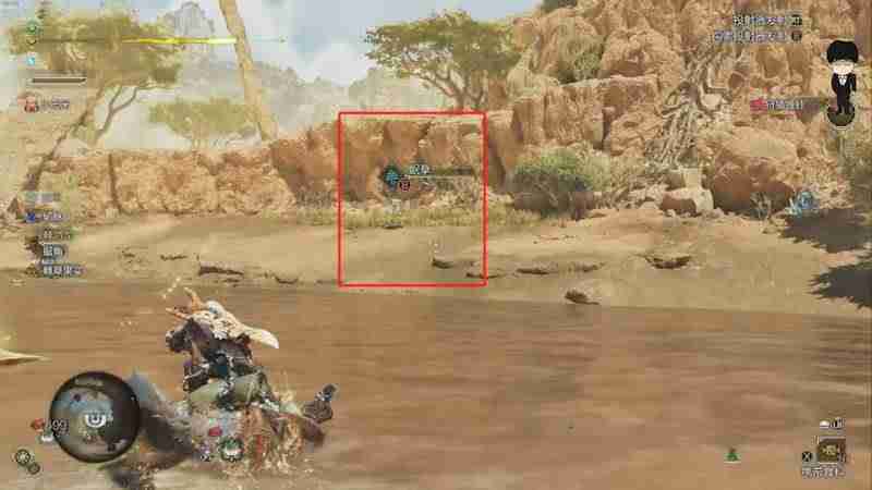 怪物猎人荒野眠草在哪里刷-怪物猎人荒野速刷眠草攻略