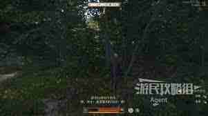 天国拯救2支线任务攻略怎么完成-天国拯救2失去的荣誉任务通关攻略