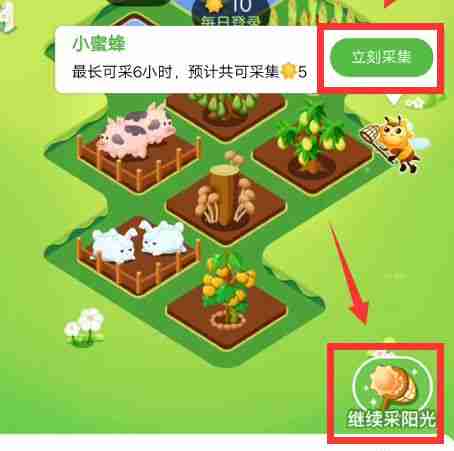 芭芭农场怎么采集阳光