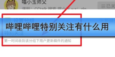 哔哩哔哩特别关注有什么用