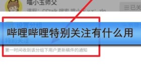 哔哩哔哩特别关注有什么用