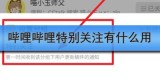 哔哩哔哩特别关注有什么用
