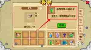 造梦西游OL如何快速提升宠物实力-造梦西游OL宠物升级技巧全解析
