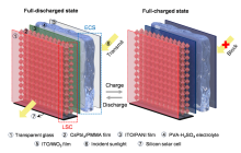 东南大学课题组在《Nature Communications》发表最新研究成果