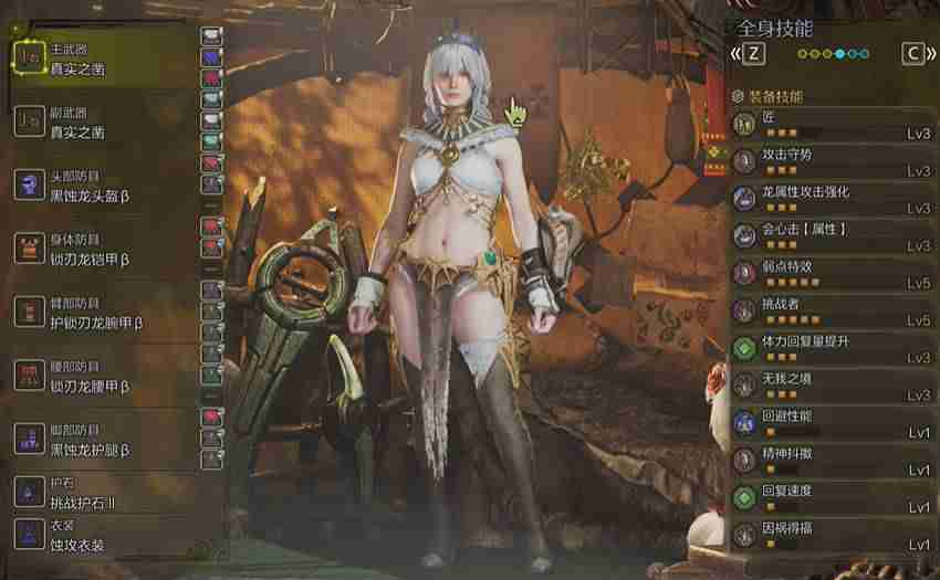 怪物猎人荒野单手剑毕业装备配装推荐