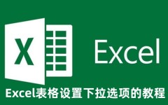 Excel表格下拉选项怎么设置 Excel表格设置下拉选项的教程