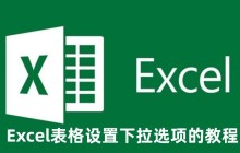 Excel表格下拉选项怎么设置 Excel表格设置下拉选项的教程