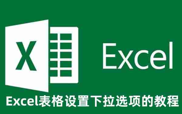 Excel表格下拉选项怎么设置 Excel表格设置下拉选项的教程
