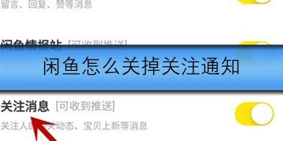 闲鱼怎么关掉关注通知