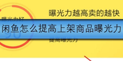 闲鱼该如何提高上架物品的曝光度