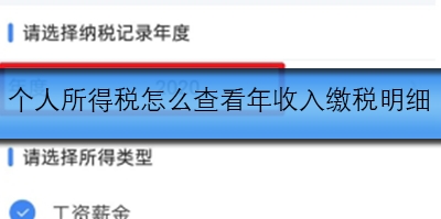 个人所得税怎么查看年收入缴税明细