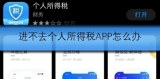 进不去个人所得税APP怎么办