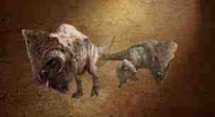 怪物猎人荒野爆翼龙在哪里刷-探索地图位置及获取素材全解析