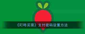叮咚买菜如何设置支付密码-叮咚买菜支付密码设定步骤