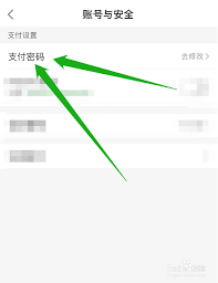 叮咚买菜如何设置支付密码-叮咚买菜支付密码设定步骤