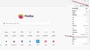 设置火狐浏览器字体在哪调-如何在火狐浏览器中更改字体设置