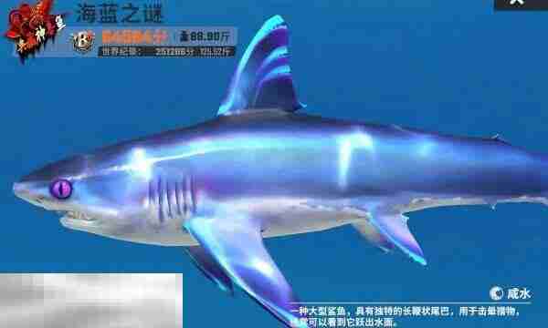 欢乐钓鱼大师礼包码在哪里兑换 兑换入口位置一览