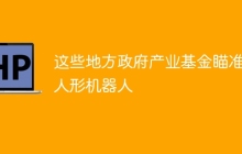 这些地方政府产业基金瞄准了人形机器人