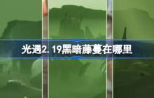 光遇2.19黑暗藤蔓在哪里-光遇2月19日染料位置攻略