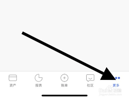 口袋记账如何快速查看账单总结-口袋记账账单总结查看方法
