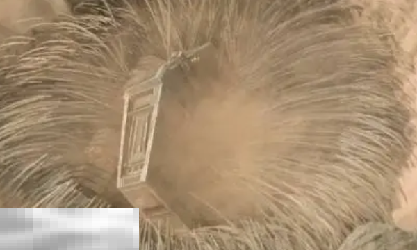 双影奇境彩蛋沙丘沙虫在哪 双影奇境彩蛋大全