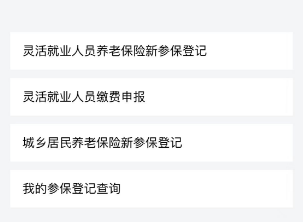 云南人社12333app如何查询缴费 具体操作方法介绍