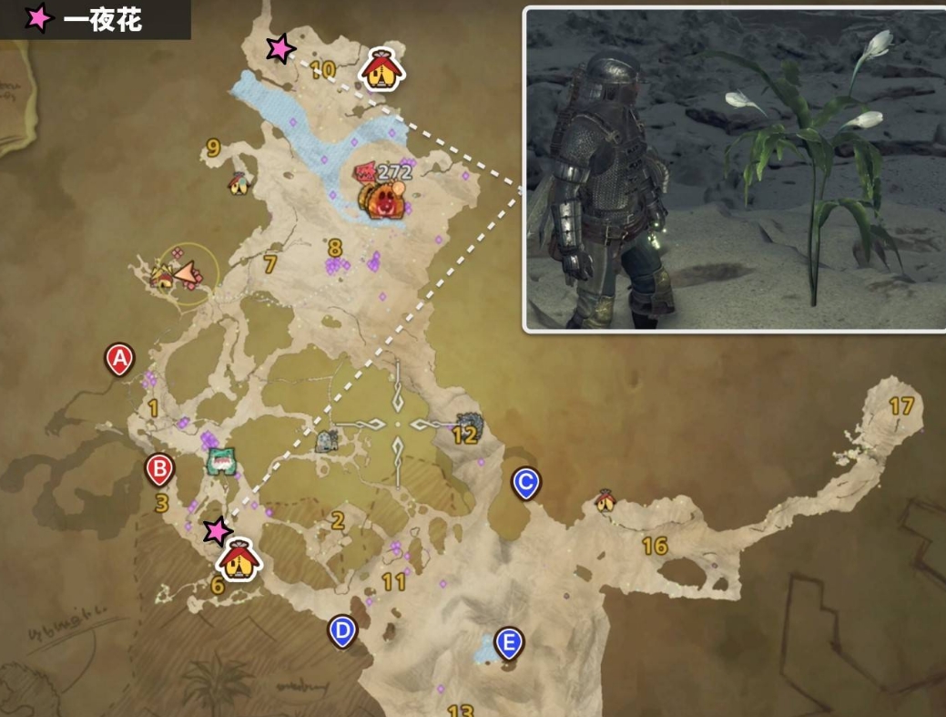 怪物猎人荒野一夜花的月华粉怎么获得