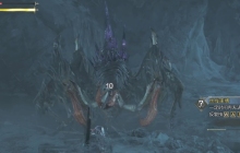 怪物猎人荒野影蜘蛛的爪怎么获得