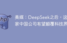 美媒：DeepSeek之后，这四家中国公司有望颠覆科技界