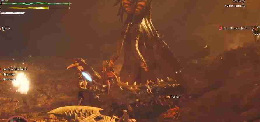 怪物猎人荒野狱焰蛸在哪里