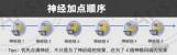 尘白禁区恩雅澜风神经加点攻略-尘白禁区如何为恩雅澜风神经分配属性点