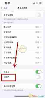 iphone锁屏声音在哪设置