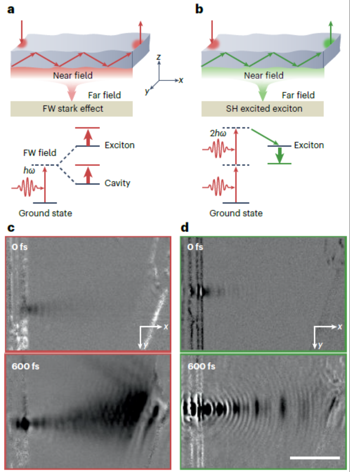 北理工团队在Nature子刊发表评述性论文