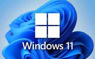win11网页版入口_win11网页版官网网址