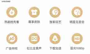 爱奇艺会员号大全最新