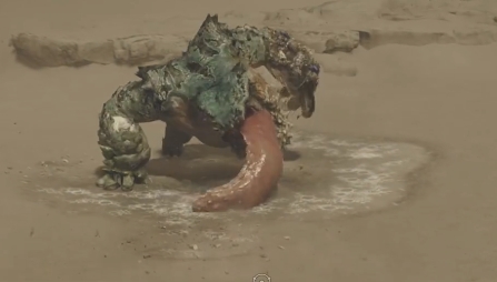 怪物猎人荒野缠蛙在哪里