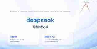 DeepSeek如何接入- 教程详解DeepSeek接入方法