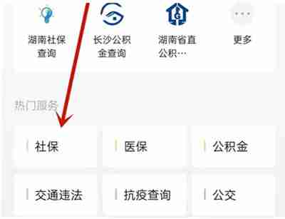 微信怎么查询参保信息