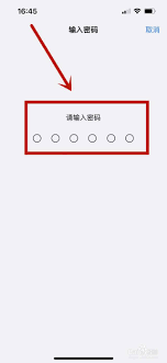 苹果怎样取消面容支付功能