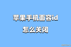 苹果怎样取消面容支付功能