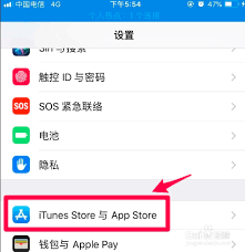 苹果手机怎么取消订阅自动续费优酷