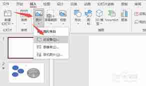 ppt中图片怎么变成圆形
