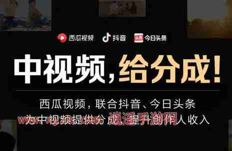 西瓜视频中视频审核怎么通过