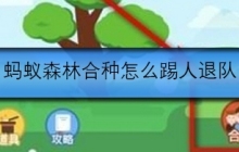 蚂蚁森林合种怎么踢人退队