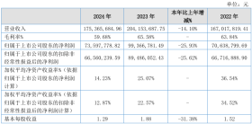 电池测试设备市场需求下降,武汉蓝电2024年营收同比减少14.1%
