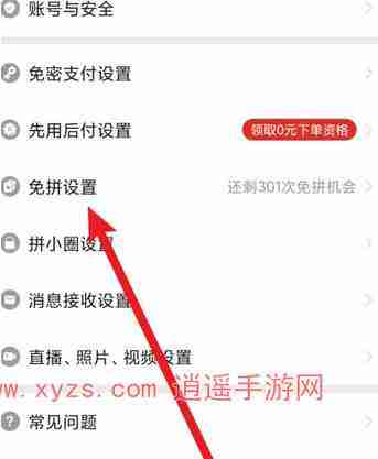 拼多多免拼次数在哪里看